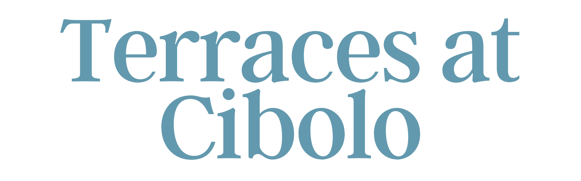 Terraces at Cibolo logo
